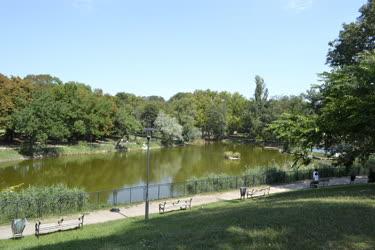 Természet - Budapest - Csónakázótó az Orczy-parkban