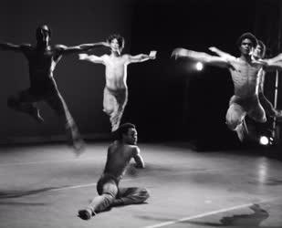 Kultúra - Az Alvin Ailey táncszínház vendégszereplése Budapesten