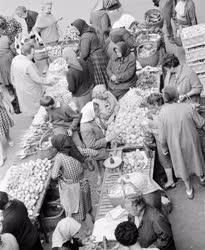 Kereskedelem - Piac - Őstermelők kínálják zöldségárujukat
