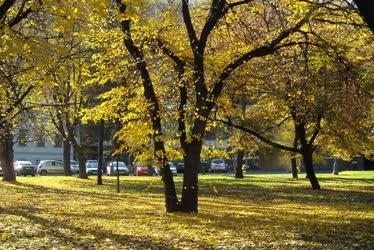 Természet - Városkép - Ősz a tabáni parkban