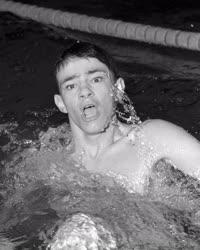 Sport - Úszás - Magyarország - Nagy-Britannia úszóverseny