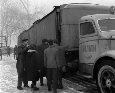 Érdekesség - Góliáth, az óriásbálna Budapesten