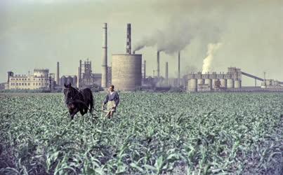 Mezőgazdaság - Földművelés Sztálinváosnál