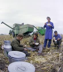 Mezőgazdaság - Életkép - Ebédel a kombájnos brigád