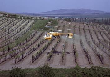 Mezőgazdaság - Helikopteres permetezés