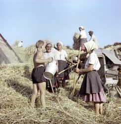 Mezőgazdaság - Cséplés a szepetneki Dózsa Tsz-ben