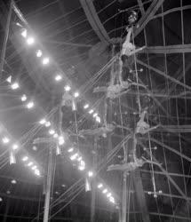 Kultúra - Cirkusz - A Budapest cirkusz előadása