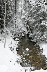 Természet - Alpendorf Dachstein West - Patak a téli erdőben