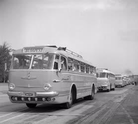 Közlekedés - Külkapcsolat - A VIT-autóbuszok szemléje