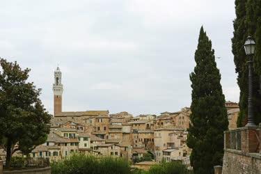 Városkép - Siena