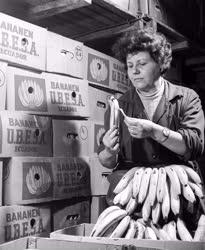 Kereskedelem - Megérkezett az első banánszállítmány