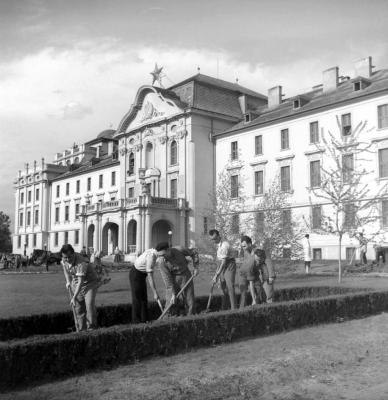 Természetmegőrzés - Parkgondozás