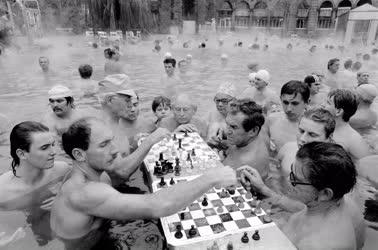Életkép - Sakkozók a Széchenyi fürdő medencéjében