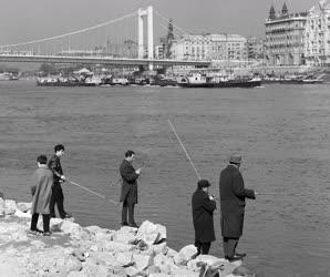 Városkép-életkép - Horgászok a Duna-parton