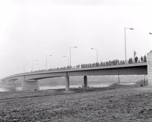Városkép - Felavatták az új szegedi Tisza-hidat
