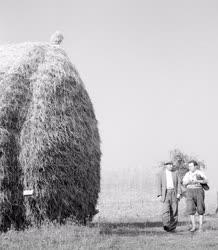 Foglalkozás - Állattenyésztés - Körúton egy állatorvossal