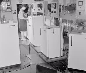 Ipar - Hűtőgépgyártás - Hűtőgépek sorozatban