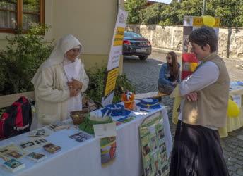 Rendezvény - Nagymaros - Nagymarosi Ifjusági Találkozó