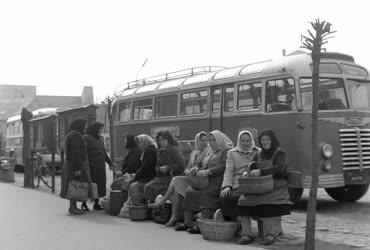 Közlekedés - Életkép - Makói buszpályaudvar