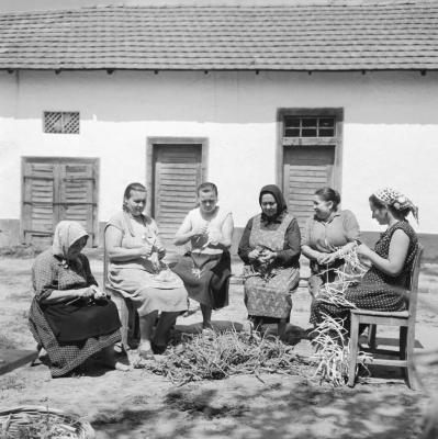 Gazdaság - Herbária gyógynövénygyűjtő telep