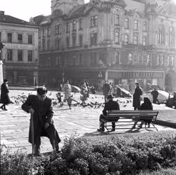 Városkép - Pécs - Széchenyi tér