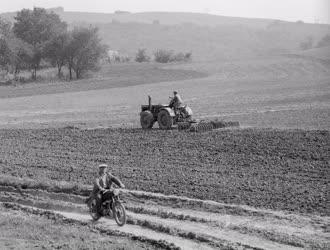 Mezőgazdaság - Őszi munkák Somogy megyében
