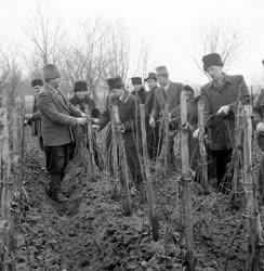 Mezőgazdaság - Udvarszemle Kovács Sándor egyéni gazdánál