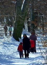 Szabadidő - Budapest - Kirándulók a téli erdőben
