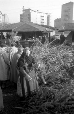 Ünnep - Karácsony - Fenyőfa árusítás 