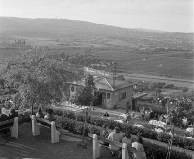 Vendéglátás - Panoráma Vendéglő