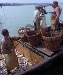 Mezőgazdaság - Halászok a Balatonon