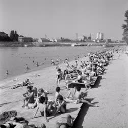 Szabadidő - Strandolók a szegedi Tisza-parton