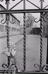 Lengyelország - Oświęcim - Koncentrációs tábor emlékhely