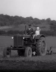 Mezőgazdaság - Őszi szántás Vác határában