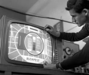 Ipar - 1964. évi rádió és tv újdonságok