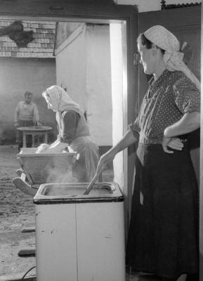 Életmód - Mezőgazdaság -  A kemenesmagasi Haladás Tsz