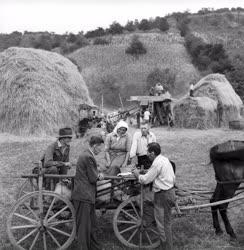 Mezőgazdaság - Növénytermesztés - Magtermelés