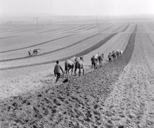 Mezőgazdaság - Tavaszi munkák