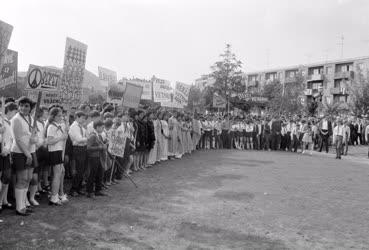 Külkapcsolat - Nagygyűlés a Hanoi parkban