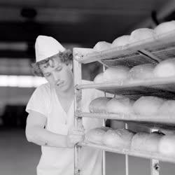 Ipar - Élelmiszeripar - Közép-Európa legmodernebb kenyérgyára