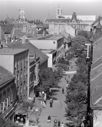 Városkép - Győr, a Kisalföld fővárosa