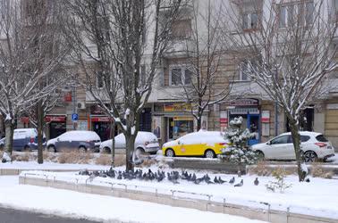 Időjárás - Budapest - A havas Móricz Zsigmond körtér
