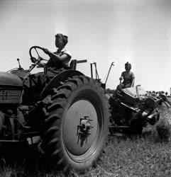 Mezőgazdaság - Női traktoros a Sallai Tsz-ben