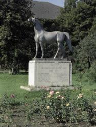 Kultúra- Ló-szobor a Bábolnai Állami Gazdaságban