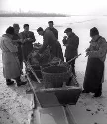 Halászat - A Velencei Halászati Szövetkezet téli halászata