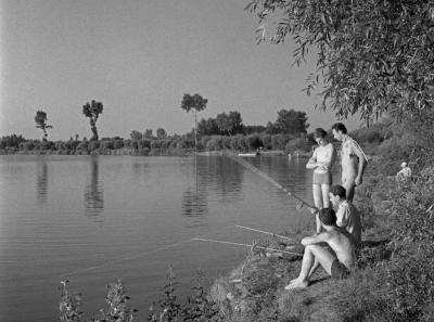 Szabadidő - Horgászok a Tisza-parton