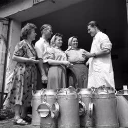 Mezőgazdaság - A Béke Tsz tehenészete