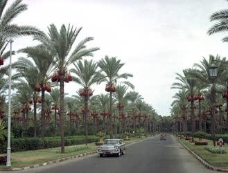 Városkép - EAK - Egyiptom