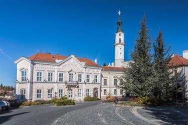 Városkép - Veszprém - Tűztorony