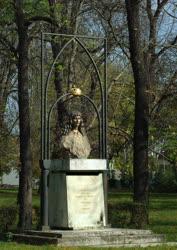 Köztéri szobor - Révkomárom - V. László király emlékműve